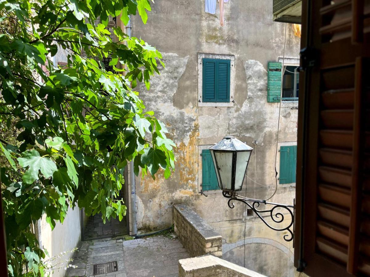 South Gate Apartments 262 Kotor Eksteriør bilde